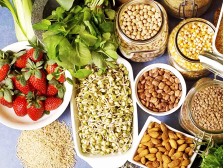 SITE fibra alimentar