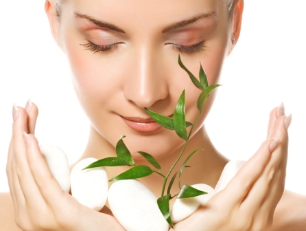 Seis plantas medicinais para ter em casa