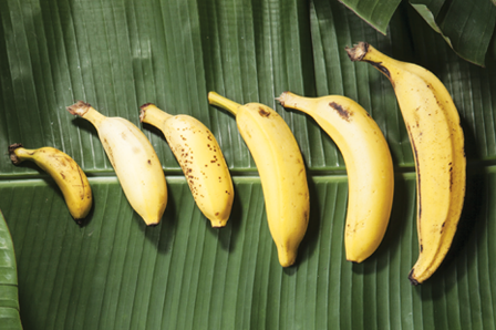 bananas