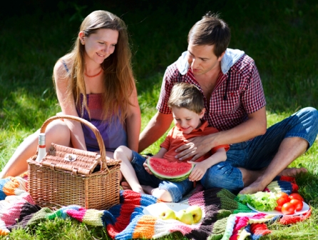 picnic